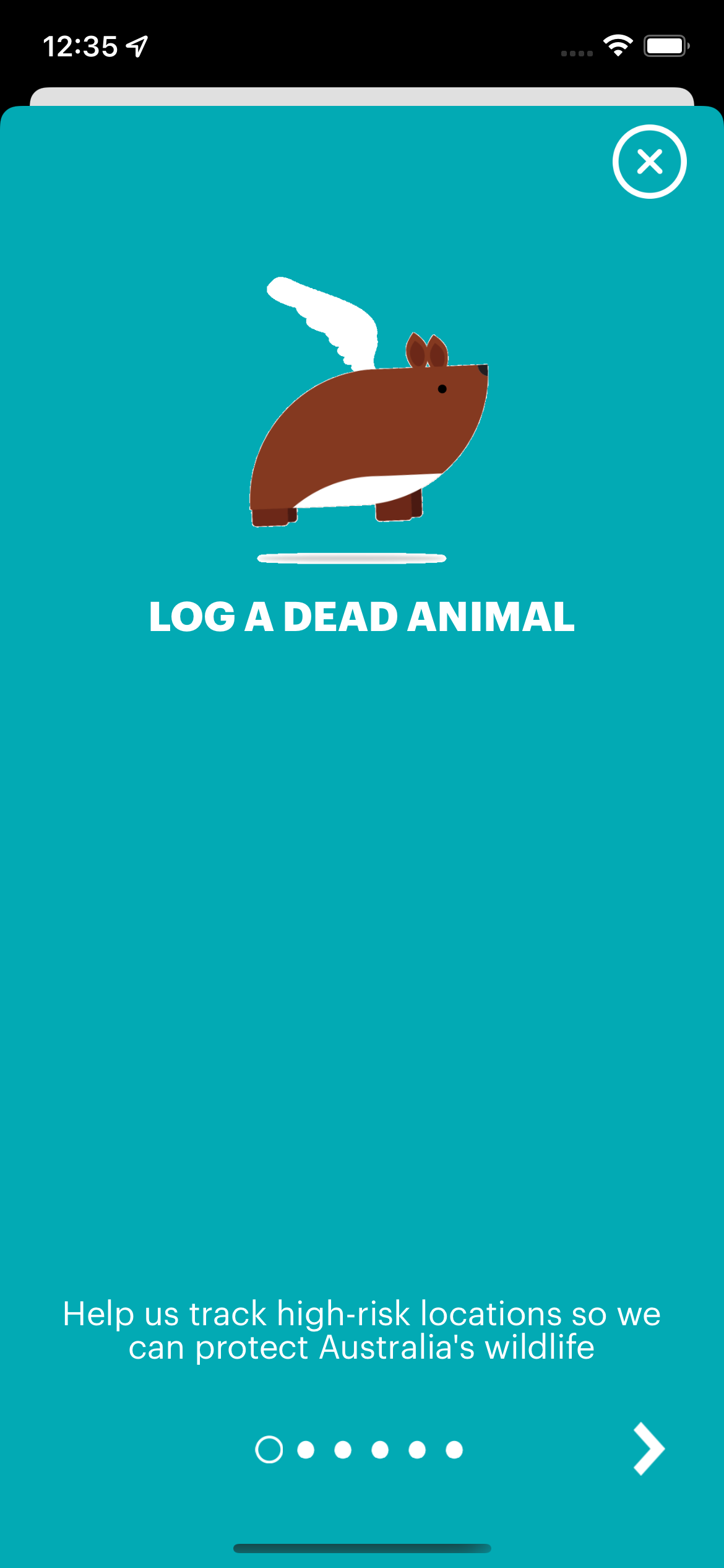 Wildlife