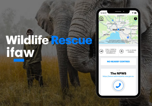 Wildlife